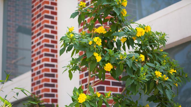 PG Hostel in Chennai